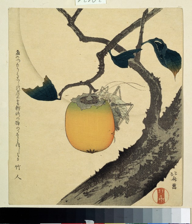 Moon, Persimmon and Grasshopper from Katsushika Hokusai