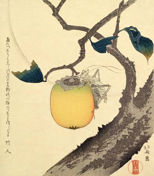 Moon, Persimmon and Grasshopper, 1807 (colour woodcut) from Katsushika Hokusai