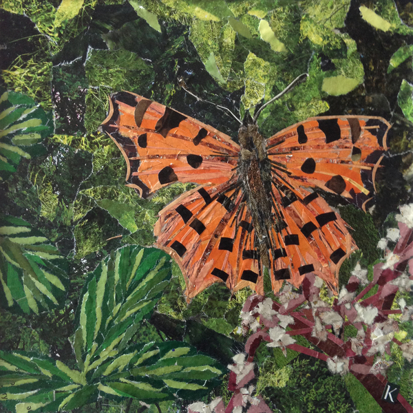 Flutter - Comma Butterfly On Japonica from Kirstie Adamson