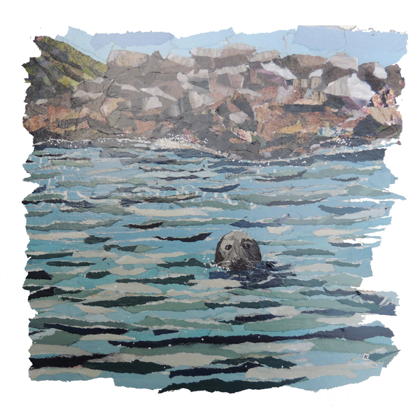 Seal Island from Kirstie Adamson