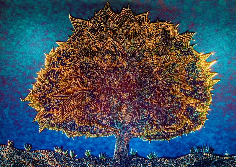 Tree of life from Klaus Wortmann