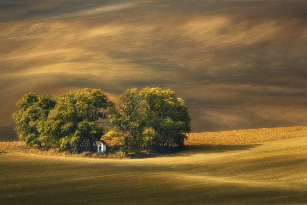 Moravian fields... from Krzysztof Browko