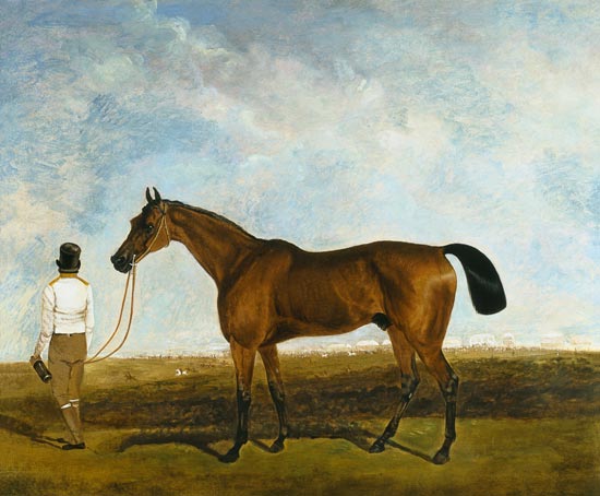 A groom leading a bay racehorse from Lambert Marshall