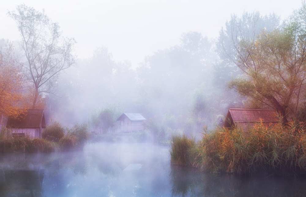 Foggy Mornings on the Lake from Leicher Oliver