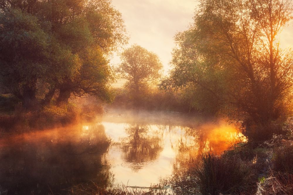 When Nature Paints with Light II from Leicher Oliver
