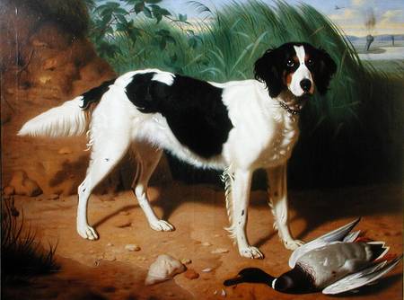 Portrait of a Dog from Leon Viardot