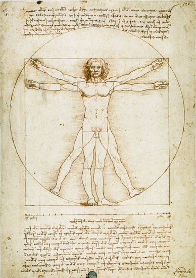 Vitruvmann (Proportionszeichnung - Schema delle proporzioni) from Leonardo da Vinci