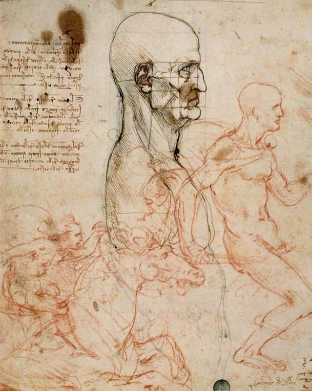 Anatomical studies from Leonardo da Vinci