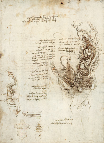 Coition of Hemisected Man and Woman, facsimile copy  & from Leonardo da Vinci