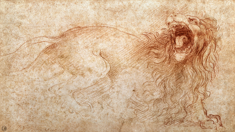 Skizze eines brüllenden Löwen from Leonardo da Vinci