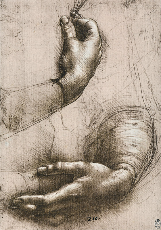 Studie der Hände einer Frau from Leonardo da Vinci