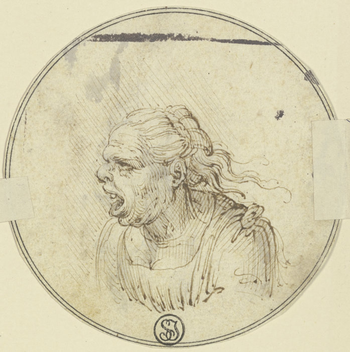 Karikatur einer Frau mit offenem Munde, Brustbild, im Profil nach links from Leonardo da Vinci