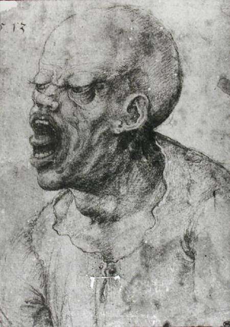 Portrait of a Man Shouting from Leonardo da Vinci