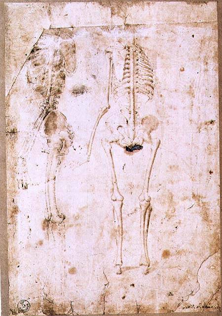 Two studies of a hanging skeleton (pen & ink with wash) from Leonardo da Vinci