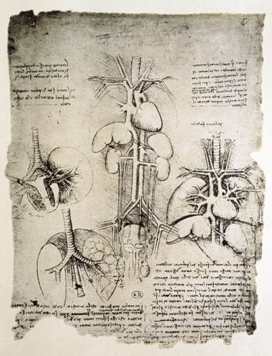 The Heart and the circulation, facsimile of the Windsor book  and from Leonardo da Vinci