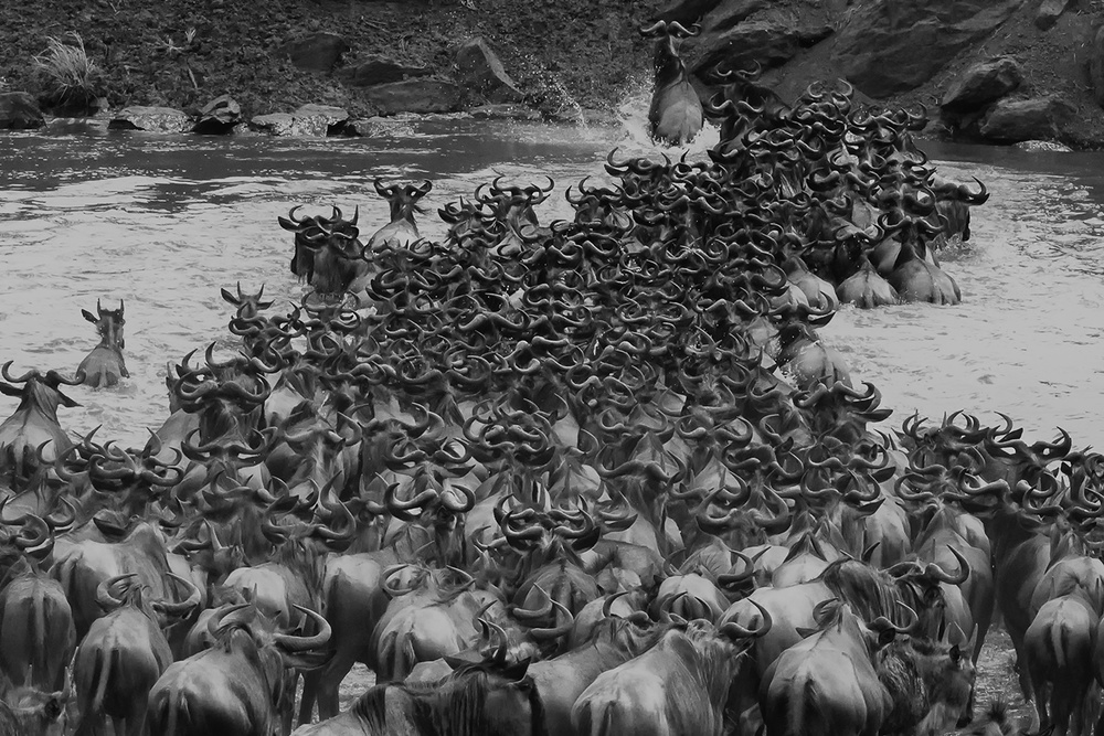 Überquerung des Mara-Flusses from Li Chen