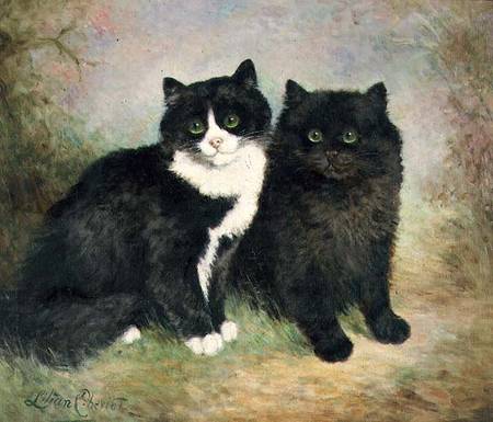A Pair of Pussy Cats from Lilian Cheviot