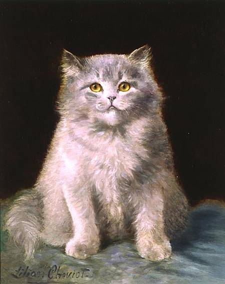 Study of a cat from Lilian Cheviot