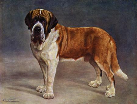 The Smooth Coated St Bernard Champion the Viking