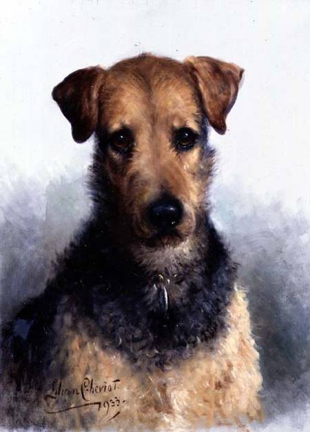 Wire Fox Terrier from Lilian Cheviot