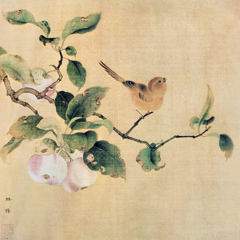 Vogel und reifende Aepfel from Lin-Tschun chinesischer Maler der Sung-Zeit