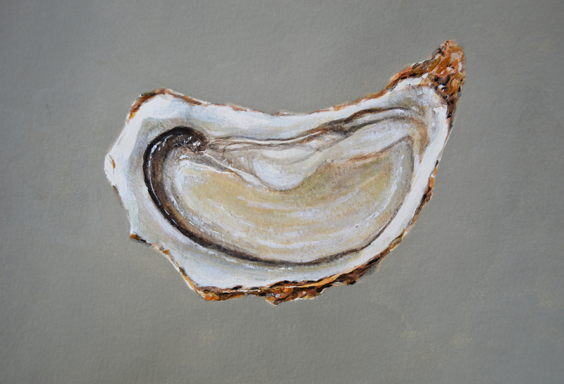 Breton Oyster 1 from Lincoln  Seligman