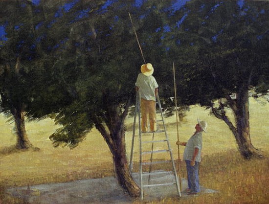 Olive Pickers, 1985 (acrylic on canvas)  from Lincoln  Seligman