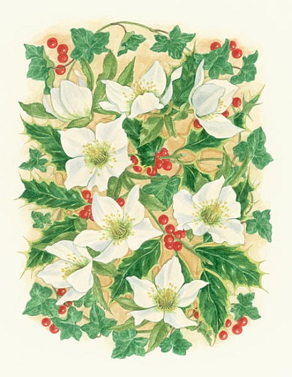Christmas Roses, 1997 (w/c on paper)  from Linda  Benton