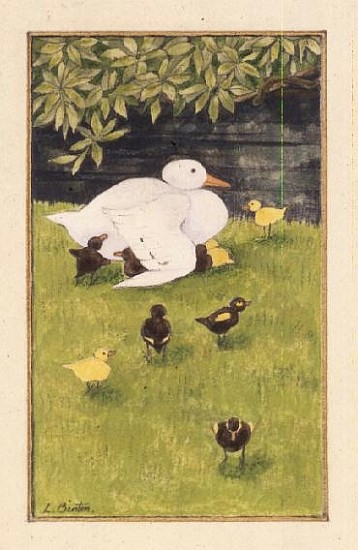 Mother Duck with Ducklings from Linda  Benton