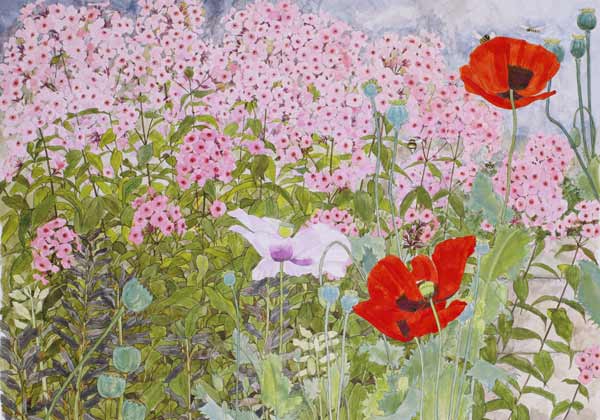 Poppies and Phlox  from Linda  Benton
