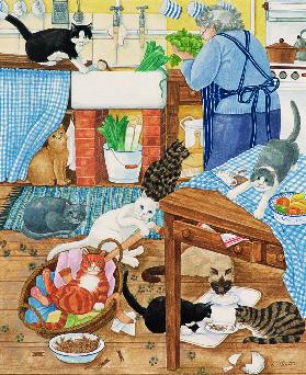 Grandma and 10 cats in the kitchen