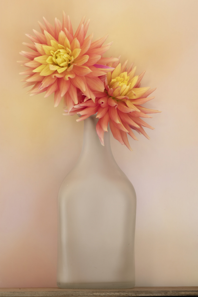 Die Dahlie und Vase from Linda D Lester