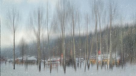 Dorf im Wald