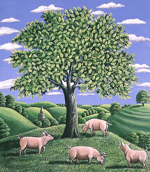 Pigs under an oak tree, 1985 (gouache)  from Liz  Wright