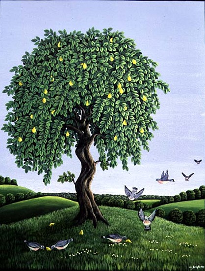 Quince Tree and Pigeons, 1983 (gouache)  from Liz  Wright