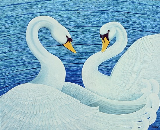 Swans, 2007 (oil on canvas)  from Liz  Wright