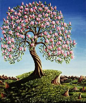 Magnolia Tree, 1989 