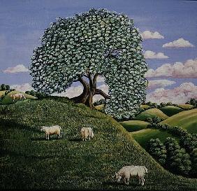 The Hawthorn Tree, 1981 (gouache) 