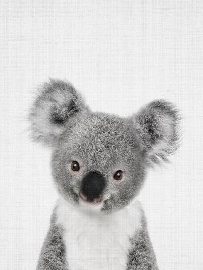Peekaboo-Baby-Koala