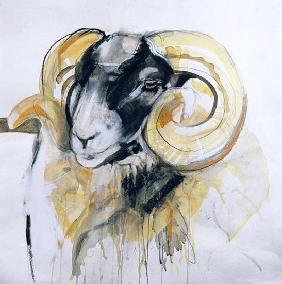 Long Horn Sheep (mixed media) 