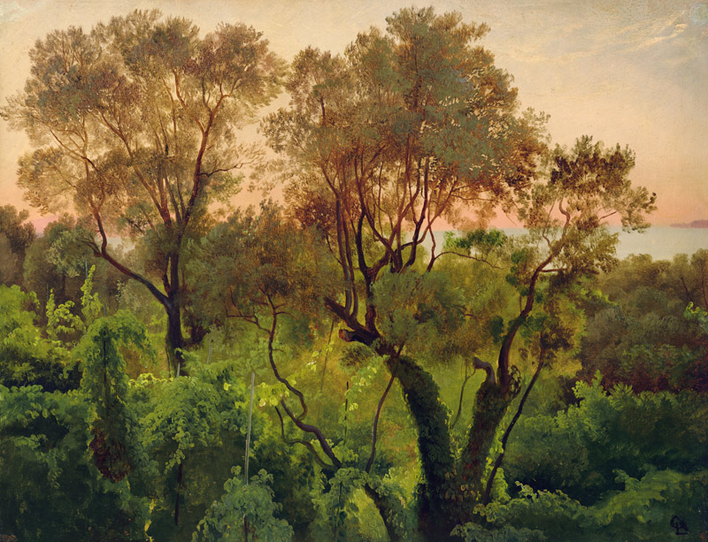 Slope with Olive Trees from Louis Gurlitt