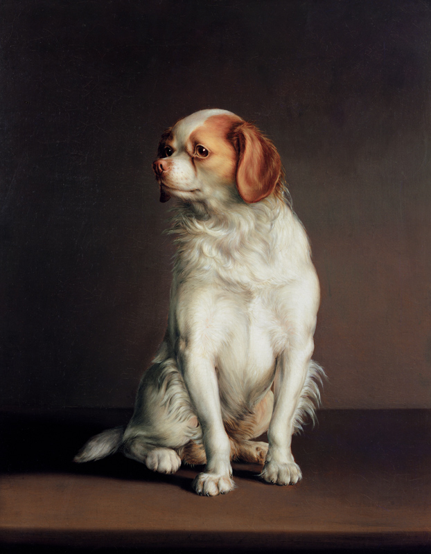 Portrait of a King Charles Spaniel from Louis-Léopold Boilly
