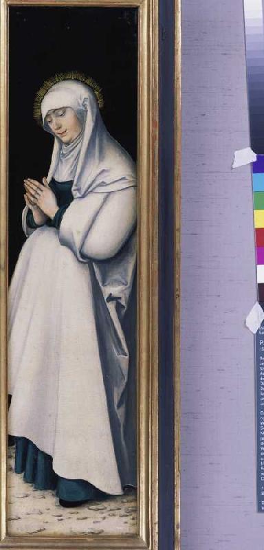 Kreuzigungstriptychon: Maria in Anbetung. from Lucas Cranach d. Ä.