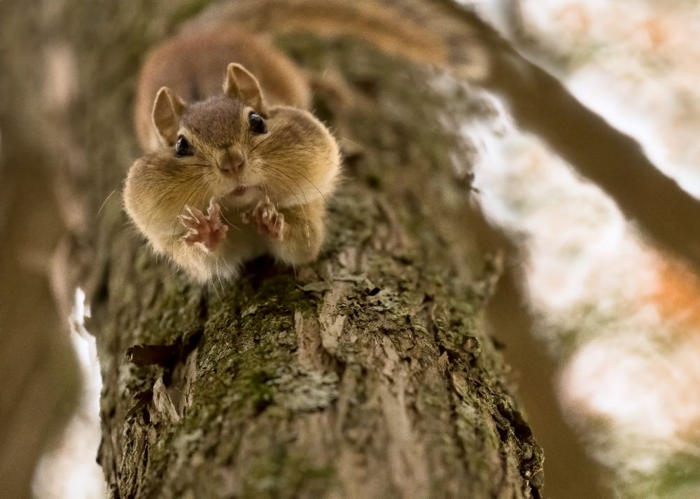 Dont you even try to grab my nuts! from Lucie Gagnon