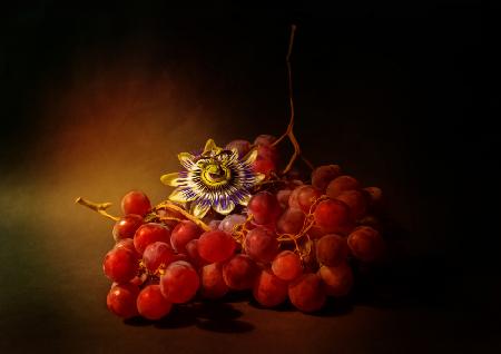 Rote Trauben und Passionsblume