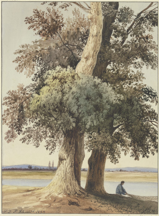Zwei Bäume am Fluß from Ludwig Daniel Philipp Schmidt