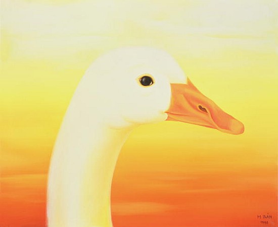 Beauty, 1998 (oil on canvas)  from Magdolna  Ban