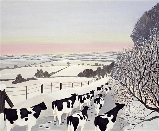 Friesians in Winter  from  Maggie  Rowe