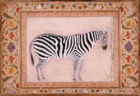 Zebra, from the 'Minto Album' from Mansur