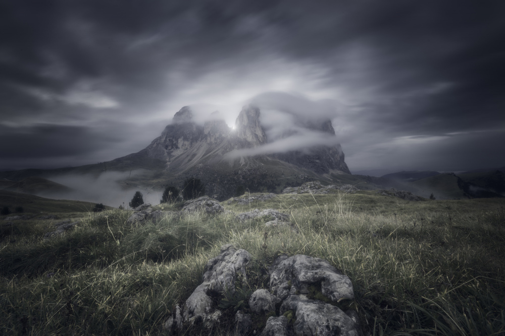 Misty Sella from Marco Bruna